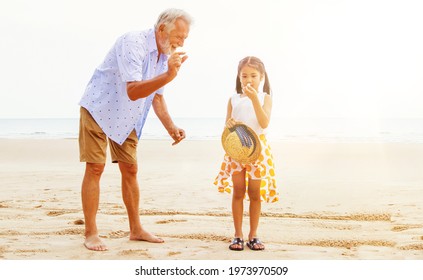 Elderly Man Walking On The Beach With An Asian Girl Excited About The Aquatic Animal In The Hand Of The Little Girl Together : Both Of Them Enjoyed The Nature Of The Sandy Beach.