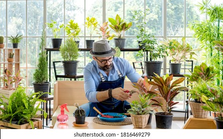 An elderly man wearing glasses is happy to take care of trees, pruning trees with scissors as a hobby of home gardening, happily living after retirement. - Powered by Shutterstock