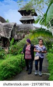 Elderly Mother And Daughter Walking In The Jungle Of Ecuador On A Sunny Day, Landscape In An Amazonian River On Summer Vacations