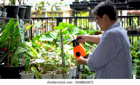 An Elderly Or Old Woman Watering The Plants In The Garden On A Summer Day.