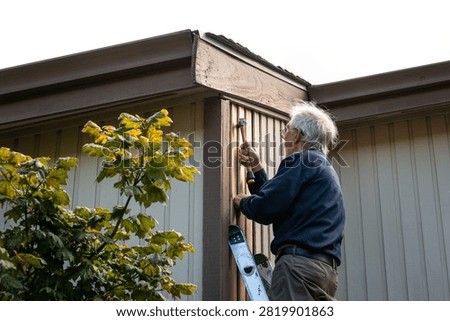 Elderly on an extension ladder using a hammer to nail in new wood siding boards, homeowner maintenance and upkeep, making outdoor repairs on house
