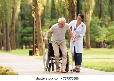 An Elderly Patient Took Crutches And Got Up From A Wheelchair With The Help Of A Female Doctor