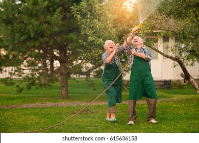 Elderly People Having Fun. Cheerful Couple With Garden Hose.