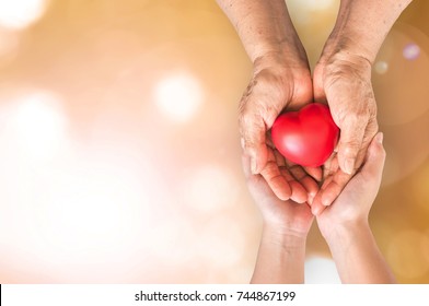 Elderly Senior Person Or Grandparent's Hands With Red Heart  In Support Of Nursing Family Caregiver For National Hospice Palliative Care And Family Caregivers Month Concept