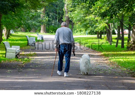 An elderly tall stooped man with a stick walks through the park with a dog on a leash. View from the back