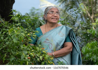 An Elderly Woman After His Retirement Practices Farming And Pursues Gardening To Keep Himself Engaged.