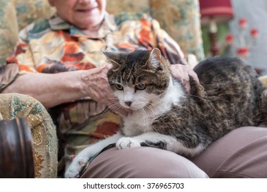 Elderly woman with a cat on her knees