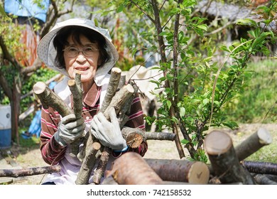 Elderly Woman Chopping Firewood