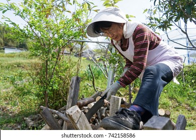 Elderly Woman Chopping Firewood