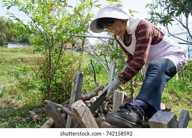 Elderly Woman Chopping Firewood