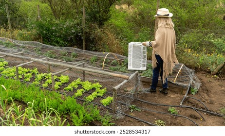 Elderly woman collecting fresh vegetables from her backyard garden." - Powered by Shutterstock