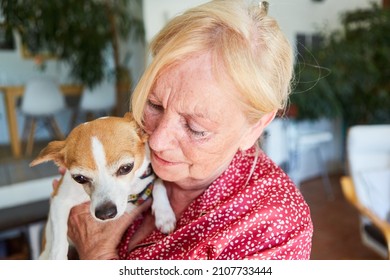 Elderly Woman Cuddles With A Small Dog As A Pet At Home For Animal Love And Therapy