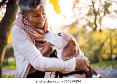 An Elderly Woman With Dog In Autumn Nature.