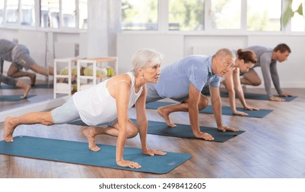 Elderly woman doing pilates exercises in group in fitness studio - Powered by Shutterstock