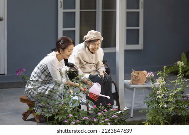 Elderly woman gardening in frontyard with daughter and cat. - Shutterstock ID 2263847639