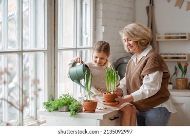 An elderly woman grandmother and a little girl granddaughter take care of and plant potted plants inside the house, do gardening in the spring for Earth Day - Shutterstock ID 2135092997