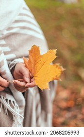 Elderly Woman Hand Holding Maple Leaf Autumn