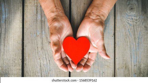 Human Warmth Hd Stock Images Shutterstock