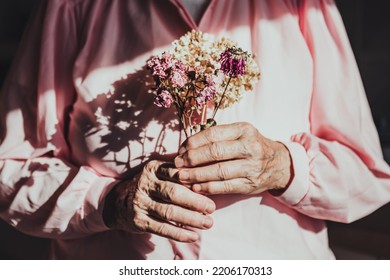 Elderly woman hands hold withered dry old rose flowers bouquet, contrast image. Old age, infirmity, withering, wrinkles concept - Shutterstock ID 2206170313