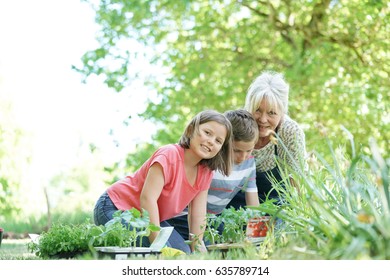 Elderly Woman Having Fun Gardening With Grandkids