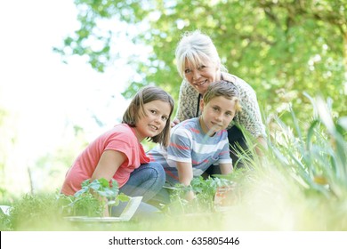 Elderly Woman Having Fun Gardening With Grandkids