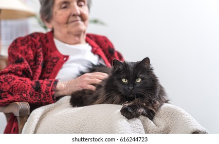 Elderly Woman With Her Black Cat