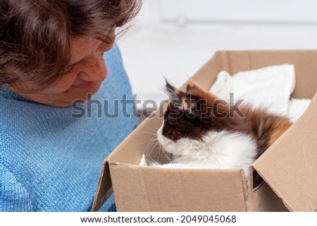 An elderly woman holding a box with a small fluffy kitten. Woman admires a kitten