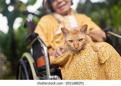 Elderly woman holding ginger cat on wheelchair in backyard - Powered by Shutterstock