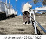 An elderly woman holding a handrail and going up the stairs