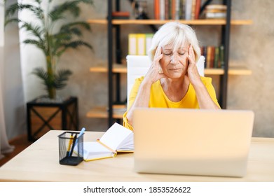 An elderly woman holding head with hands while sitting and working with a laptop indoors. Tired from work exhausted senior woman suffers from headache - Shutterstock ID 1853526622