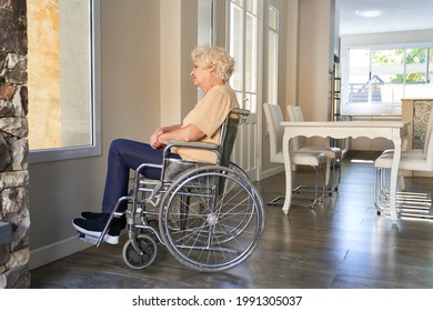 Elderly Woman With Paraplegia In A Wheelchair After A Stroke At The Window In The Nursing Home