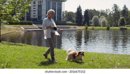 Elderly woman pensioner walk cavalier spaniel in park near lake. Full length view of active senior female with dog stroll in summer park