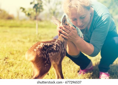 Elderly Woman Playing With Baby Fawn In The Garden 