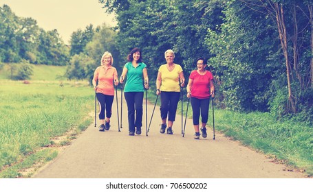 Elderly Woman Practicing Nordic Walking In Nature                           