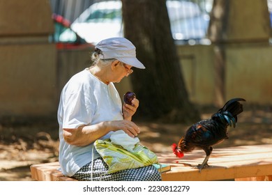 An elderly woman sits on a bench in a city park - Shutterstock ID 2230812279