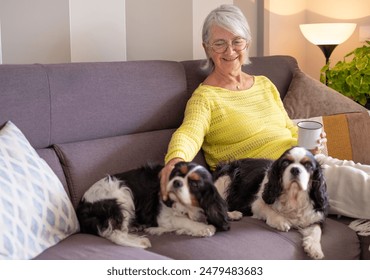 Elderly woman sits relaxed on sofa smiling warmly holding a coffee cup spending quality time with her beloved pets beside her - two Cavalier King Charles Spaniels snuggle close - Powered by Shutterstock