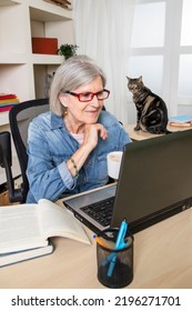 Elderly Woman Studying In Front Of A Computer With Her Cat