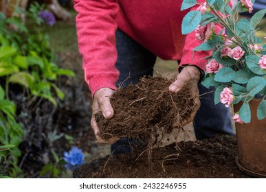 Elderly woman tending to the soil of a pink flower pot. - Powered by Shutterstock