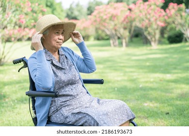 An Elderly Woman Traveler With Straw Hat Sitting On Wheelchair For Travel In Park.