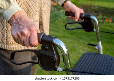 Elderly Woman With Walking Frame In The Garden