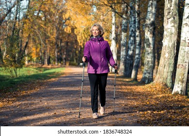 An Elderly Woman Walks Through The Park On Scandinavian Sticks