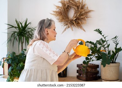 Elderly Woman Watering Indoor Plants From A Watering Can