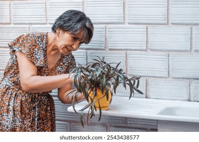 An elderly woman wearing a floral dress inspects her potted plant outdoors. She looks satisfied, proud of her care and attention to her home garden. - Powered by Shutterstock