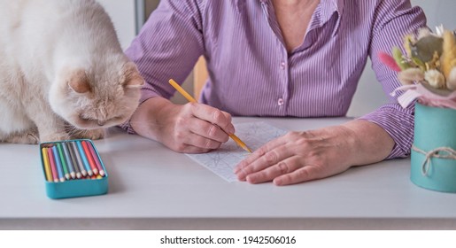 Elderly woman's hand holding a colored pencil. She painting an abstract pattern from adult coloring pages. - Powered by Shutterstock