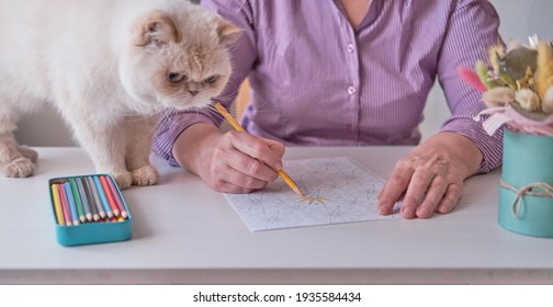 Elderly woman's hand painting an abstract pattern from adult coloring pages. - Powered by Shutterstock