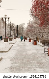 Elderly Women Go Into The Distance Along The Snowy Alley Of The Square, View From The Back