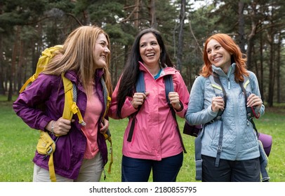 Elderly Women Having Fun Together Hiking, With Backpacks. Three Mature Women Trekking.