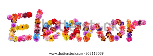 Eleanor Floral Name Stock Photo (Edit Now) 503113039