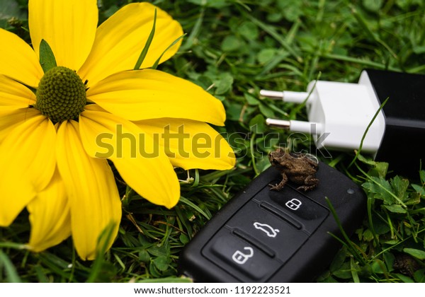 Electric Automotives to
protect the nature