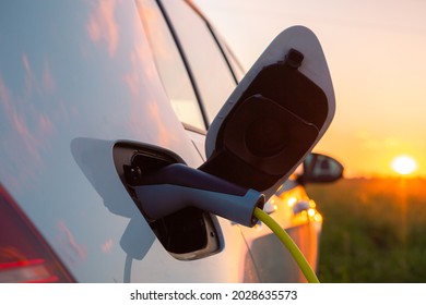 Electric Car Charger Plugged In At Home Backyard